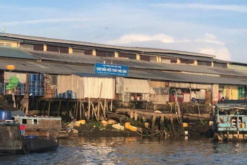 Công ty TNHH Châu Việt Long để chợ đầu mối thủy hải sản không có giấy phép xả thải ra sông.
