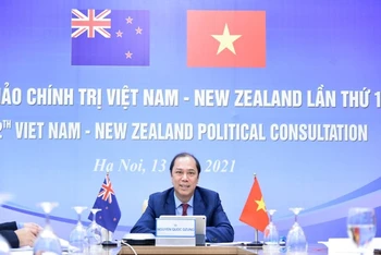 Thứ trưởng Ngoại giao Nguyễn Quốc Dũng tham gia kỳ họp theo hình thức trực tuyến. (Ảnh: Bộ Ngoại giao Việt Nam).