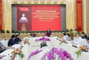 Phó Chủ tịch nước Võ Thị Ánh Xuân phát biểu ý kiến tại buổi làm việc.