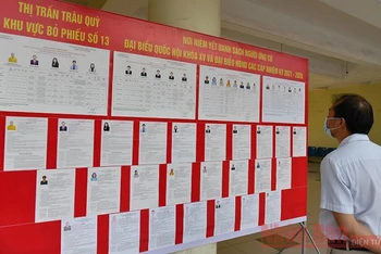 Thông tin của các ứng viên tại khu vực bỏ phiếu số 13 (Thị trấn Trâu Quỳ, huyện Gia Lâm, Hà Nội) (Ảnh minh họa: Duy Linh).