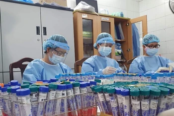 11 mẫu xét nghiệm SARS-CoV-2 tại các ổ dịch Đà Nẵng có nguồn gốc chủng virus Anh.