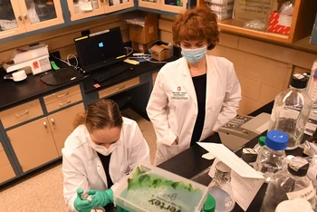 Tiến sĩ Anastasia Vlasova (phải) đã thực hiện phân tích gen của loại virus corona mới được phát hiện. Ảnh: Ken Chamberlain.