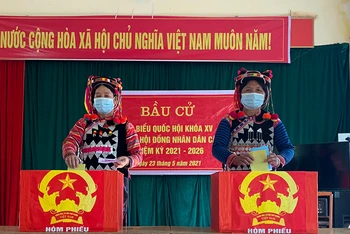 Đồng bào dân tộc Hà Nhì xã biên giới Sín Thầu bỏ phiếu bầu cử.