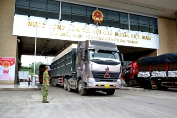 Xe ô-tô chở vải tươi qua Cửa khẩu Kim Thành xuất khẩu sang Trung Quốc.