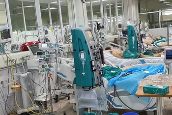 Nhiều bệnh nhân nặng đang được các bác sĩ nỗ lực cứu chữa tại BV Bệnh Nhiệt đới Trung ương.