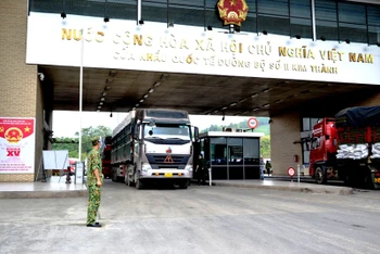 Mỗi ngày có hơn 500 tấn vải thiều xuất khẩu sang Trung Quốc, qua Cửa khẩu đường bộ Kim Thành (Lào Cai).