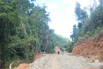 Khu vực rừng phòng hộ ở xã Ba Ngạc, huyện Ba Tơ bị phá, chiếm trái phép để mở đường công vụ vào thi công thủy điện Nước Long. 