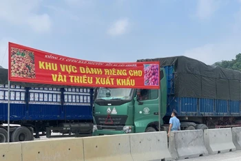  Khu vực đỗ xe dành riêng cho xe chở hàng quả vải thiều tại cửa khẩu Tân Thanh (Văn Lãng).
