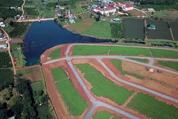 Một khu vực có dấu phân lô trên đất nông nghiệp tại TP Bảo Lộc. 