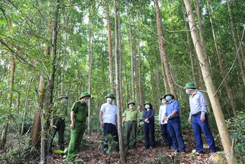 Lãnh đạo huyện Thạch Hà (Hà Tĩnh) kiểm tra công tác phòng, chống cháy rừng trong điều kiện nắng nóng gay gắt.
