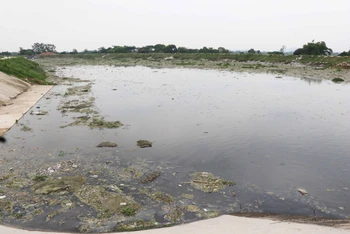 Sông Ngũ Huyện Khê ô nhiễm môi trường do các công ty xả thải.