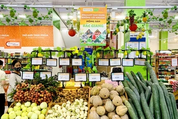 Các loại hoa quả, rau, củ của Bắc Giang được bày bán tại các siêu thị BRGMart và Minimart Haprofood/BRGMart.