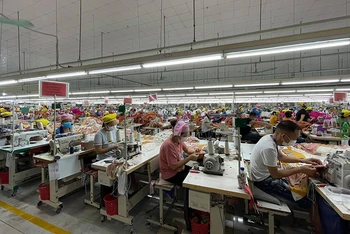 Các công nhân làm việc tại Công ty TNHH Hana Kovi Việt Nam.