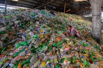 Phân loại chai nhựa đã qua sử dụng trong nhà máy tái chế ở Dhaka, Bangladesh. Ảnh: Getty Images.