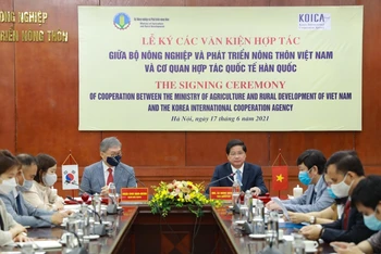 Bộ Nông nghiệp và Phát triển nông thôn cùng cơ quan hợp tác quốc tế Hàn Quốc Koica ký kết các văn kiện hợp tác về nông nghiệp.