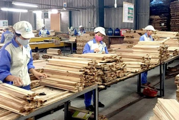 Xu hướng tiêu thụ đồ nội thất bằng gỗ của Hàn Quốc tăng trưởng khả quan.