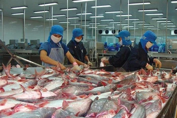 Công ty Vĩnh Hoàn và Nam Việt được hưởng thuế 0% khi xuất cá tra sang Mỹ.