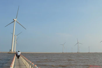 Trên công trình điện gió tại vùng ven biển Bạc Liêu.
