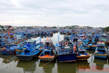 Cảng cá kết hợp Khu neo đậu tàu thuyền tránh trú bão cho tàu cá La Gi là cảng có mật độ tàu thuyền ra vào và neo đậu lớn nhất trong số các cảng cá của tỉnh Bình Thuận.