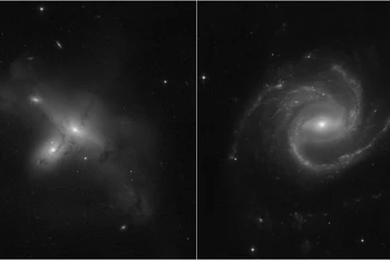 Hình ảnh các thiên hà kỳ dị vừa được kính viễn vọng Hubble chụp sau khi hoạt động trở lại. Ảnh: NASA, ESA, STScI, Julianne Dalcanton.