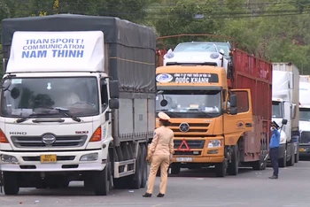 Tỉnh Bình Định đang tăng cường kiểm soát đối với các xe tải đường dài, xe khách... đi qua địa bàn.
