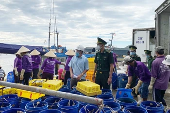 Tổ công tác phòng, chống dịch Covid-19 cảng cá Phú Lạc, thị xã Đông Hòa kiểm tra, hướng dẫn tàu thuyền và ngư dân thực hiện nghiêm các quy định.
