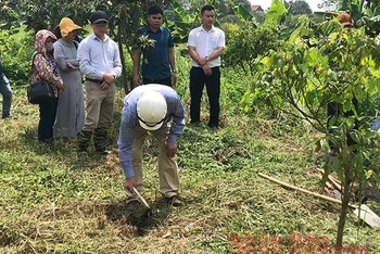 PGS. TS Bùi Văn Liên làm thủ tục động thổ, khởi công dự án khai quật hồitháng 5-2020.