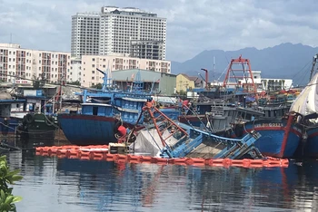 Khu vực tàu cá QNG.92383 bị chìm trên Âu thuyền và Cảng cá Thọ Quang.