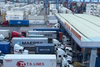 Vận chuyển hàng hóa ra vào cảng Tân Cảng-Cát Lái.