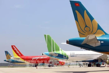  Hàng loạt máy bay của các hãng hàng không đang tạm dừng bay tại sân bay Nội Bài. (Ảnh: TTXVN)