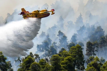 Máy bay cứu hỏa thả nước dập đám cháy rừng gần làng Ellinika trên đảo Evia, ngày 8/8. (Ảnh: Reuters)