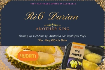 Sầu riêng Ri6 Việt Nam "cháy hàng" tại Australia