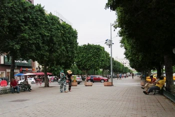 Thủ đô Tunis, Tunisia ngày 11/8 vẫn rất nắng nóng. (Ảnh: Reuters).