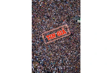 Hình ảnh lễ hội âm nhạc Lollapalooza bị chú thích sai thông tin.