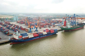 Giá cước tàu biển tăng cao từ năm 2020 đến nay, gây ảnh hưởng đến hoạt động xuất nhập khẩu.