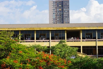 Trong khuôn viên Trường đại học Khoa học Tự nhiên (ảnh chụp thời điểm năm 2020)