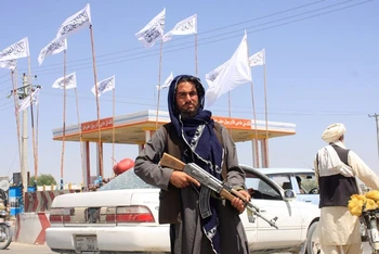 Tay súng Taliban tại thành phố Ghazni, Afghanistan, ngày 14/8. (Ảnh: Reuters)