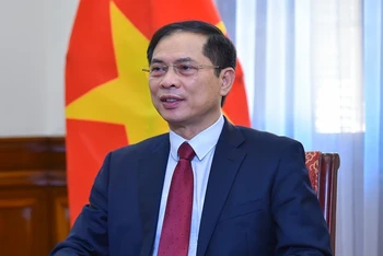Bộ trưởng Ngoại giao Bùi Thanh Sơn. (Ảnh: Báo Thế giới và Việt Nam)
