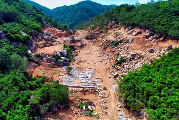 Hiện trạng khu vực rừng phòng hộ trên núi Thị Vải bị tàn phá.