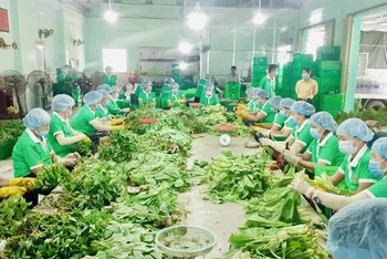 HTX Nông nghiệp Thương mại dịch vụ Phú Quới, xã Yên Luông, huyện Gò Công Tây, Tiền Giang tham gia cung cấp túi combo nông sản. Ảnh: Tổ công tác 970.