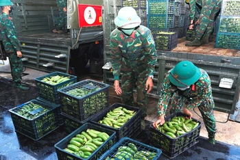 Sản phẩm tăng gia của Quân đoàn 3 được gửi vào TP Hồ Chí Minh