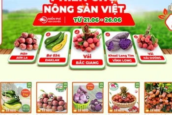 Sở Công thương Hà Nội vừa công bố danh sách các doanh nghiệp, điểm bán hàng hóa thiết yếu trên địa bàn theo hình thức bán hàng trực tuyến. (Ảnh minh họa)