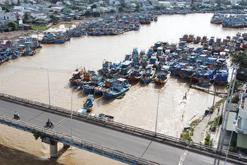 Tàu thuyền neo đậu dày đặc khu vực hạ lưu sông Dinh làm cản trở dòng chảy mỗi khi nước từ thượng nguồn đổ về nhiều.