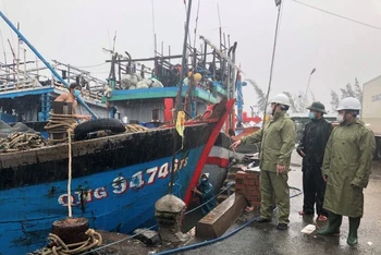 Phó Chủ tịch UBND tỉnh Quảng Ngãi Trần Phước Hiền (thứ 3 từ phải sang) kiểm tra công tác sắp xếp, neo đậu tàu cá tránh trú bão số 5 tại cảng Tịnh Kỳ, TP Quảng Ngãi.