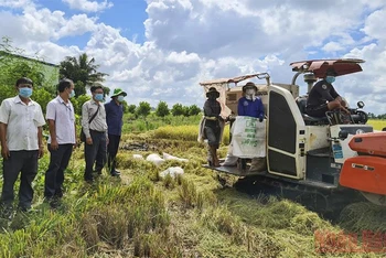 Lãnh đạo huyện Tháp Mười khảo sát tình hình nông dân thu hoạch lúa tại xã Tân Kiều.