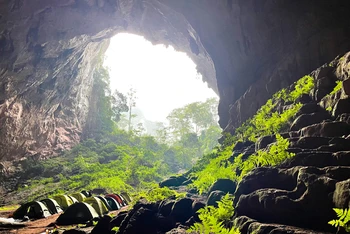 Cửa hang Pygmy, hang động lớn thứ tư thế giới, nằm trong vùng lõi VQG Phong Nha – Kẻ Bàng.