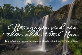 Núi Chúa và Kon Hà Nừng: Vẻ đẹp nguyên sinh của thiên nhiên Việt Nam