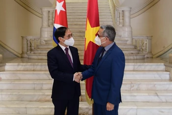 Bộ trưởng Ngoại giao Bùi Thanh Sơn và Quyền Bộ trưởng Ngoại giao Cuba Marcelino Medina. (Ảnh: Bộ Ngoại giao)