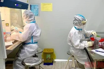 Trong 24 giờ qua, tỉnh Quảng Bình thực hiện hơn 31 nghìn mẫu xét nghiệm, phát hiện 19 ca dương tính với SARS-CoV-2.