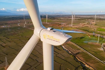 T&T Group đang đẩy mạnh tập trung phát triển năng lượng, đặc biệt hướng tới mục tiêu trở thành nhà phát triển điện gió hàng đầu Việt Nam trong tương lai.